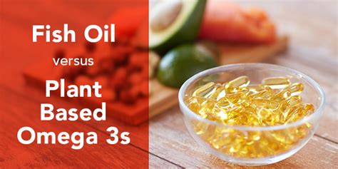 plant based omega 3 vs fish oil|is vegan omega 3 as good fish oil.